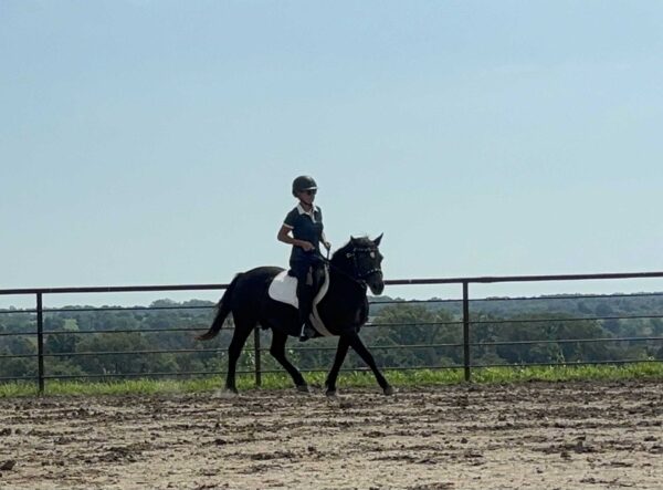 Fiona - Image 13