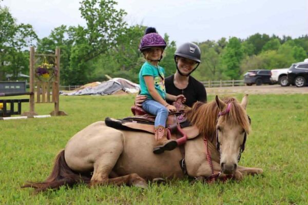 Tony the Pony - Image 7