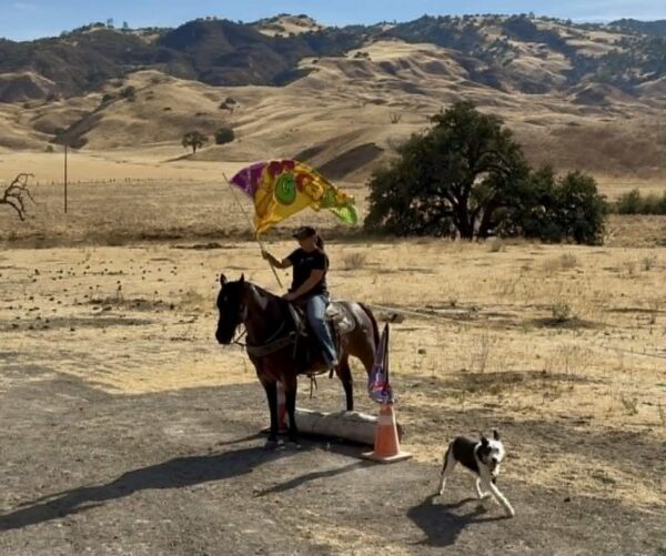 Buddy - Image 18