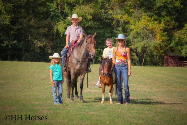Tumbleweed - Image 17