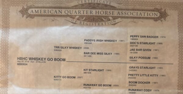 HBHC Whiskey Go Boom - Image 3