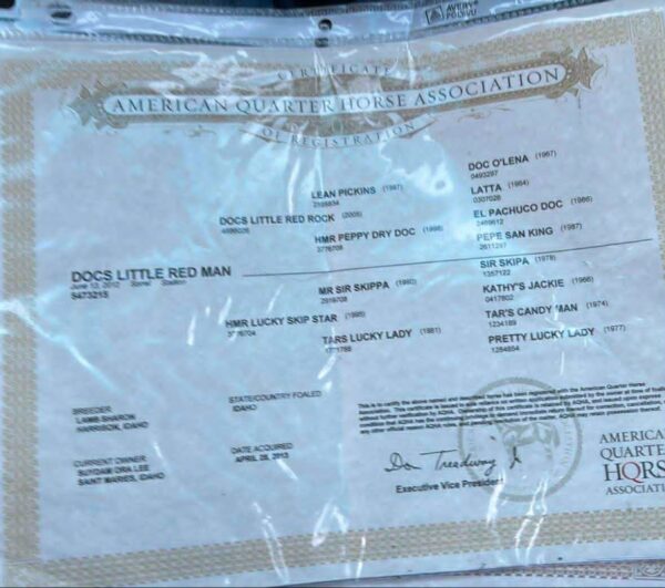 Docs Little Red Man - Image 2