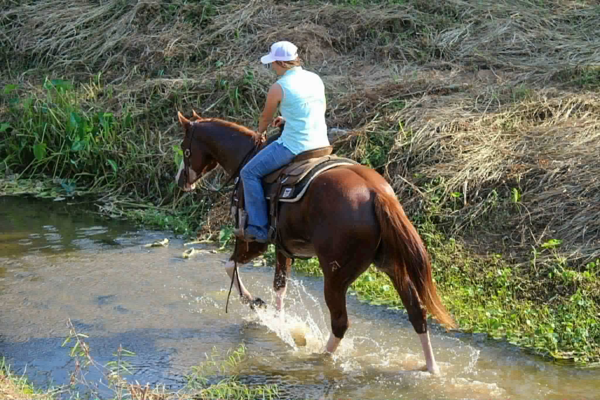 Slow Wet Kisses - Image 9