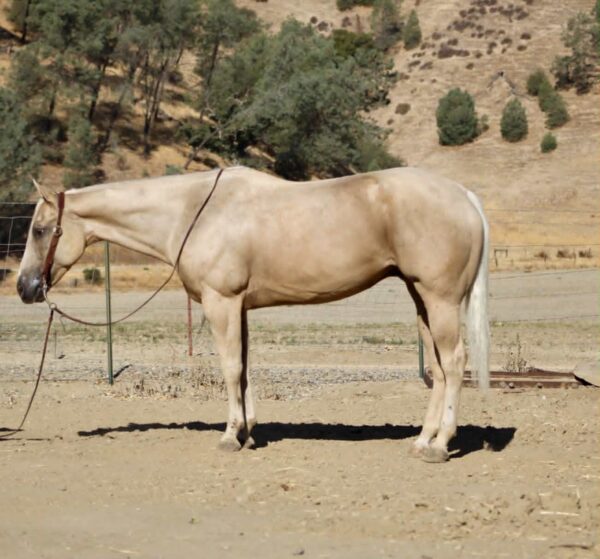 777 Jackpot - Image 5