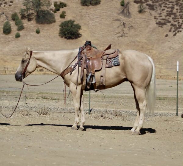 777 Jackpot - Image 11