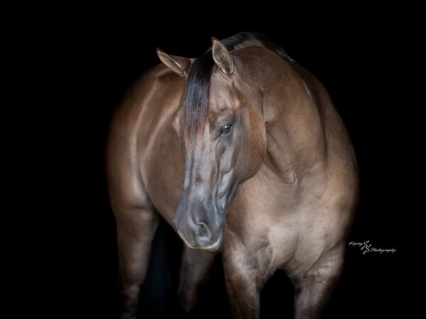 A Nickle Fritz - Image 8