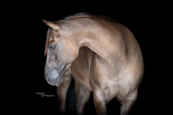 A Nickle Fritz - Image 9