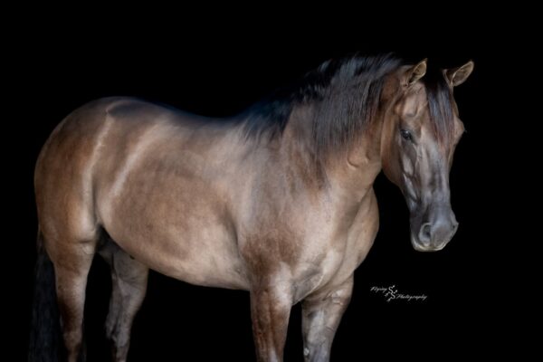 A Nickle Fritz - Image 10