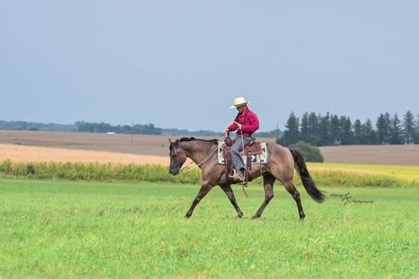 A Nickle Fritz - Image 36
