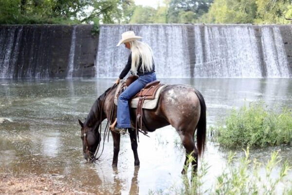 Applejack - Image 2