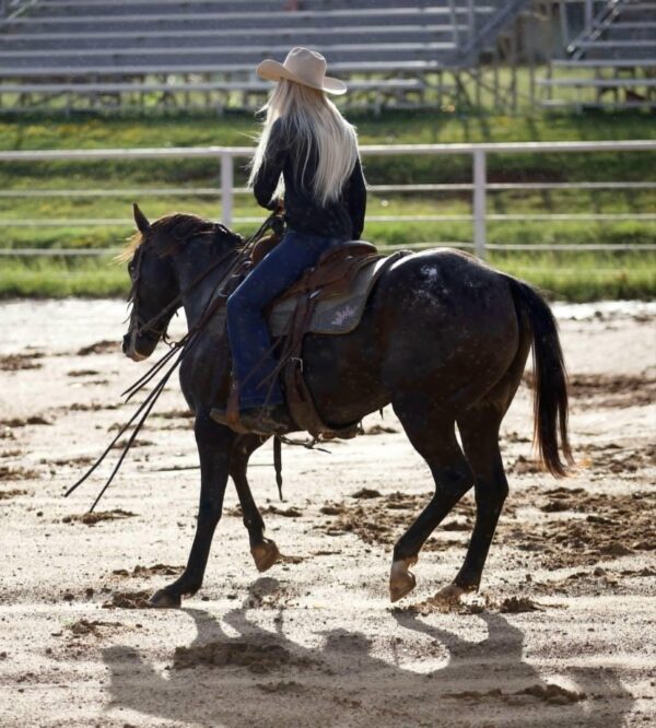 Applejack - Image 5