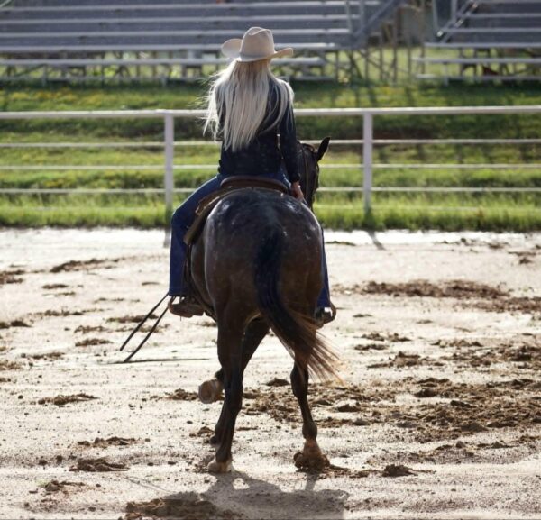 Applejack - Image 6