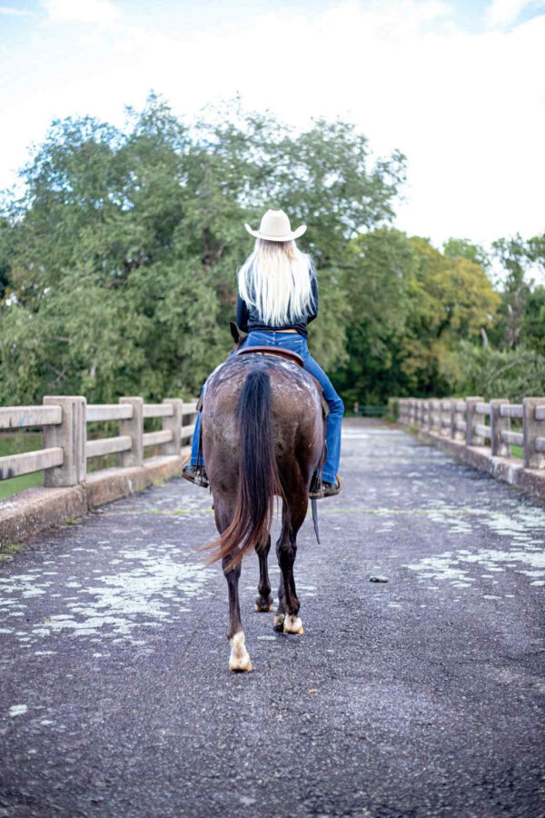 Applejack - Image 10