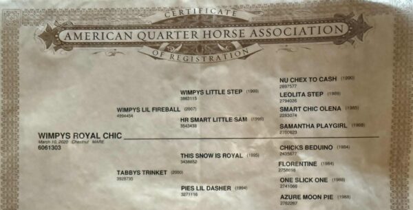 Wimpys Royal Chic - Image 2