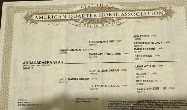 Abracadabra Star - Image 3