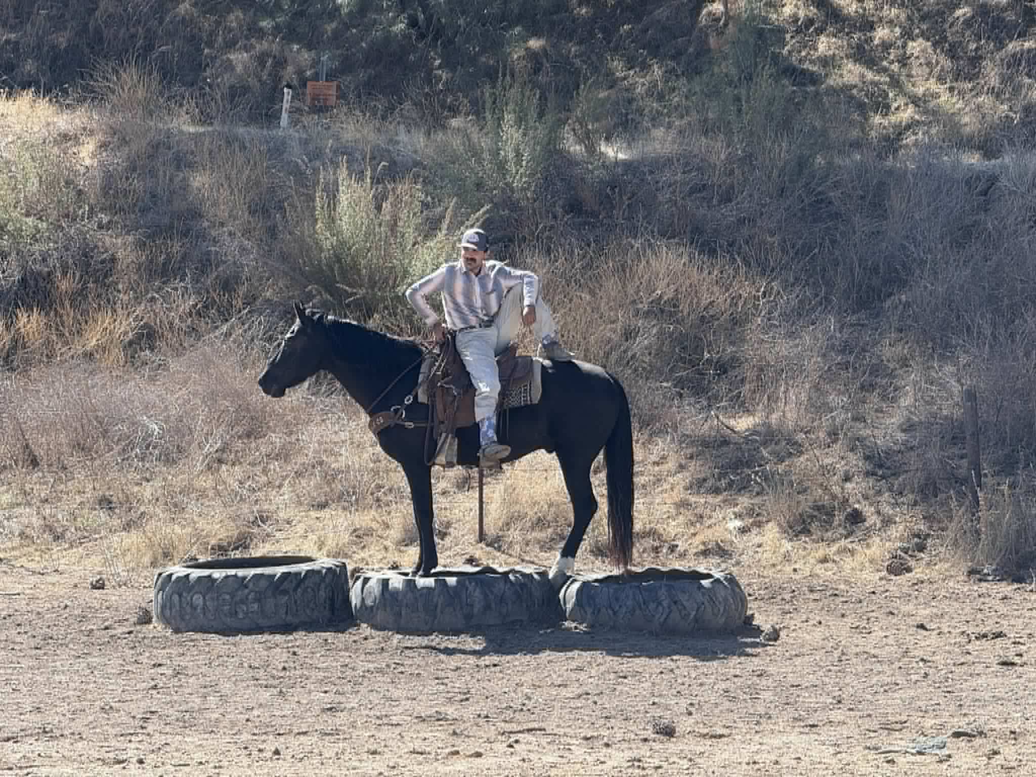 Blackjack - Image 10