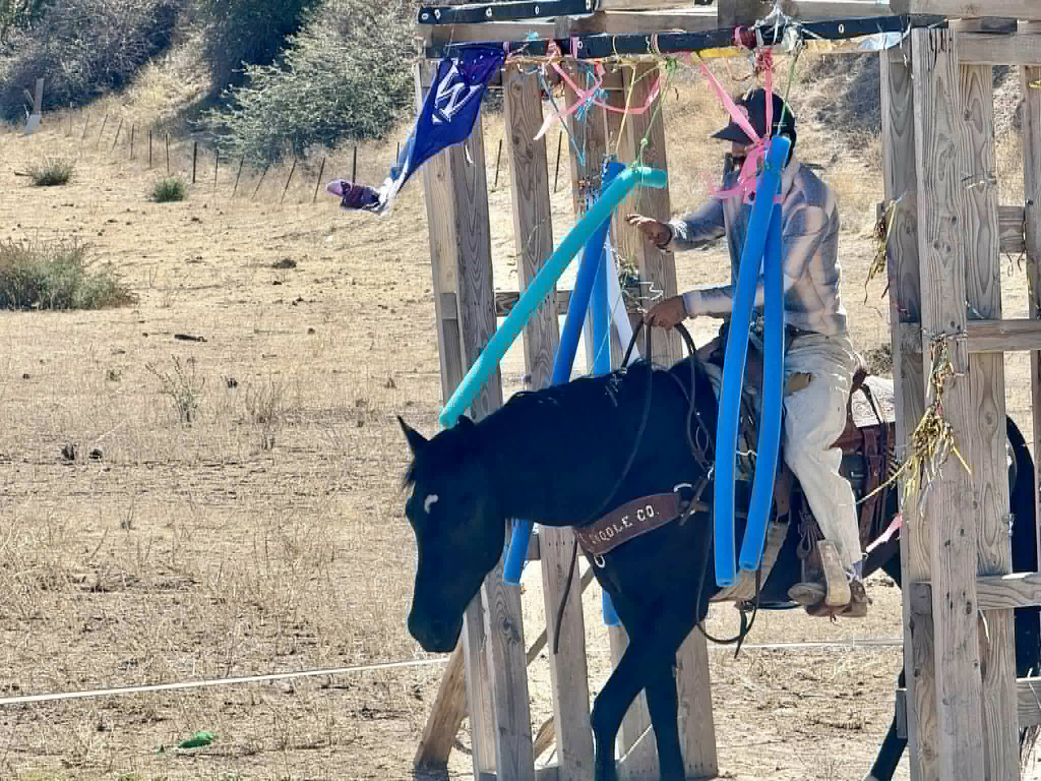 Blackjack - Image 11