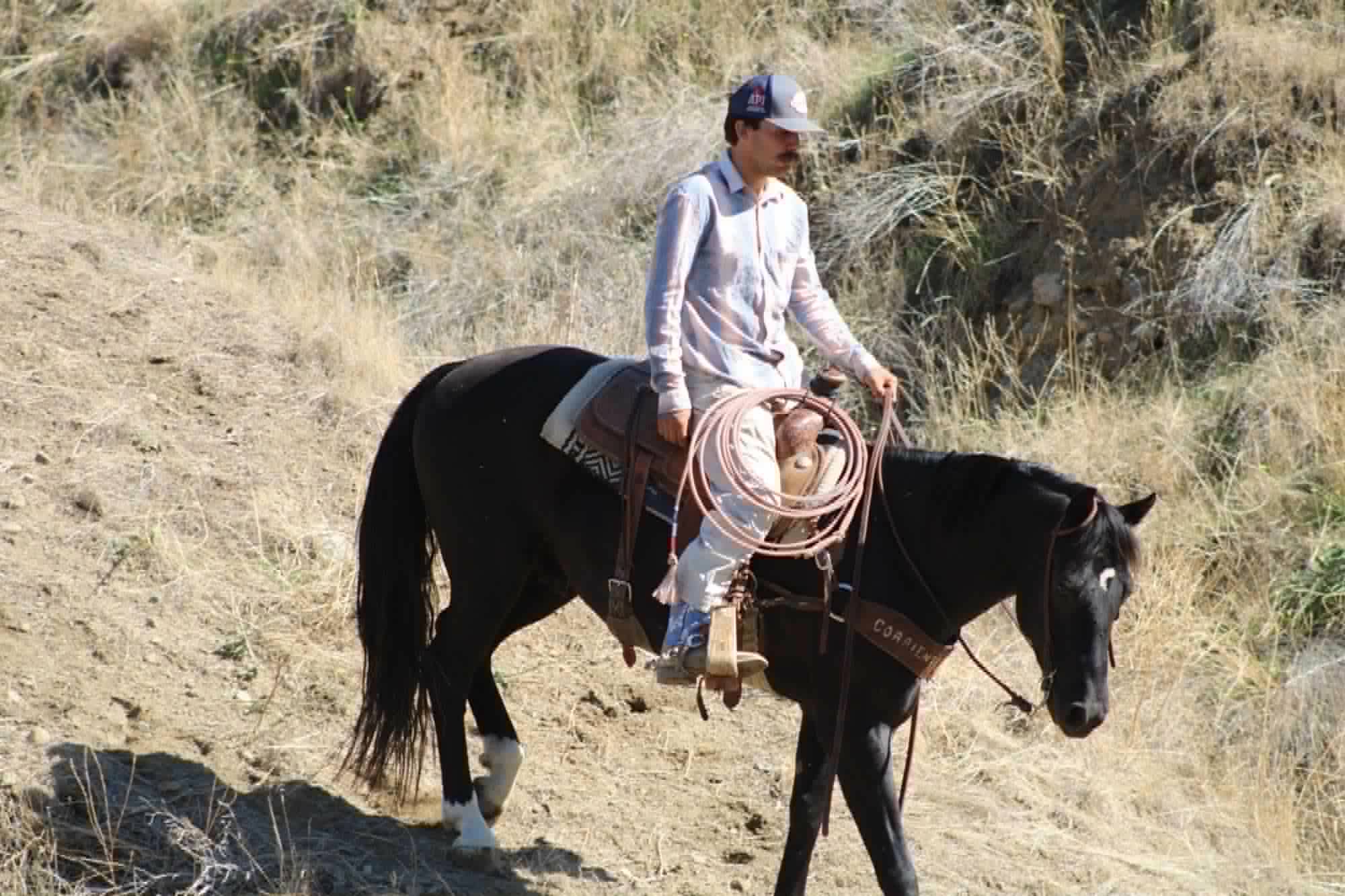 Blackjack - Image 13