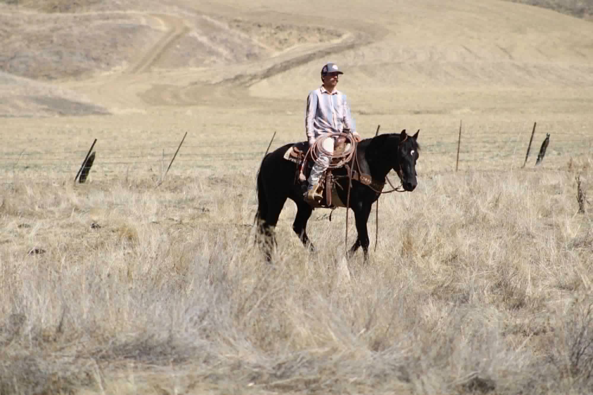 Blackjack - Image 14