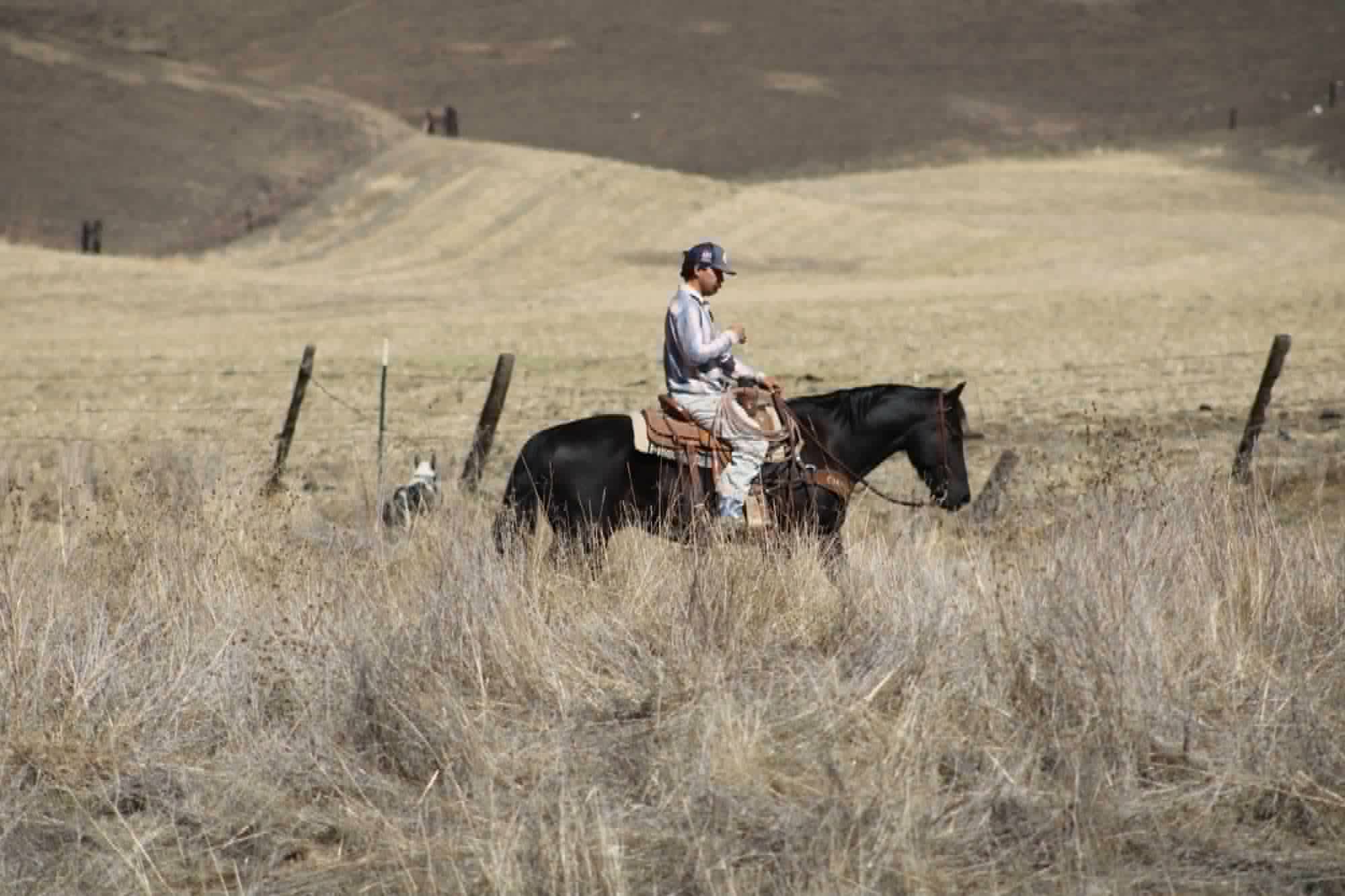 Blackjack - Image 15