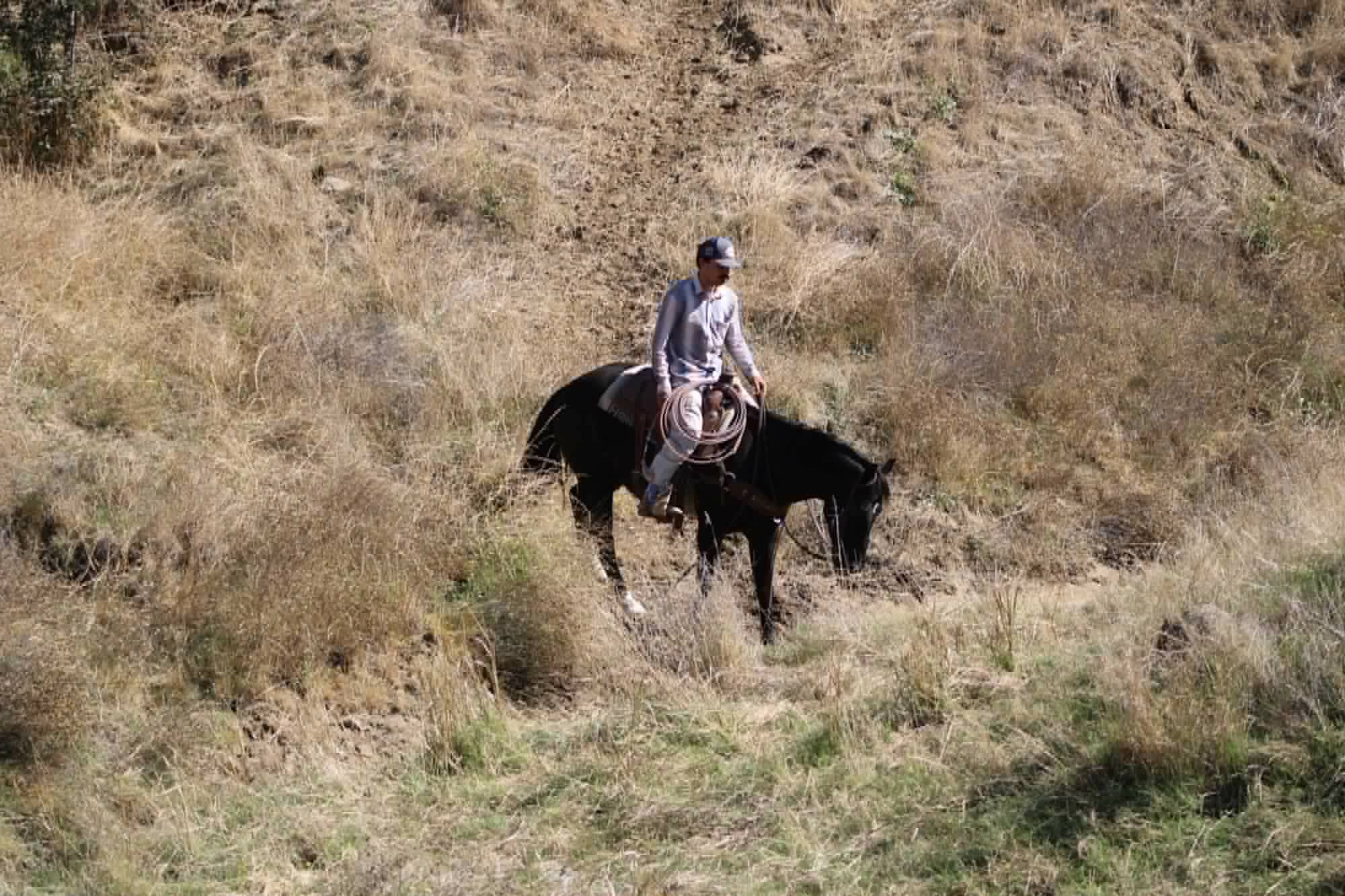 Blackjack - Image 16