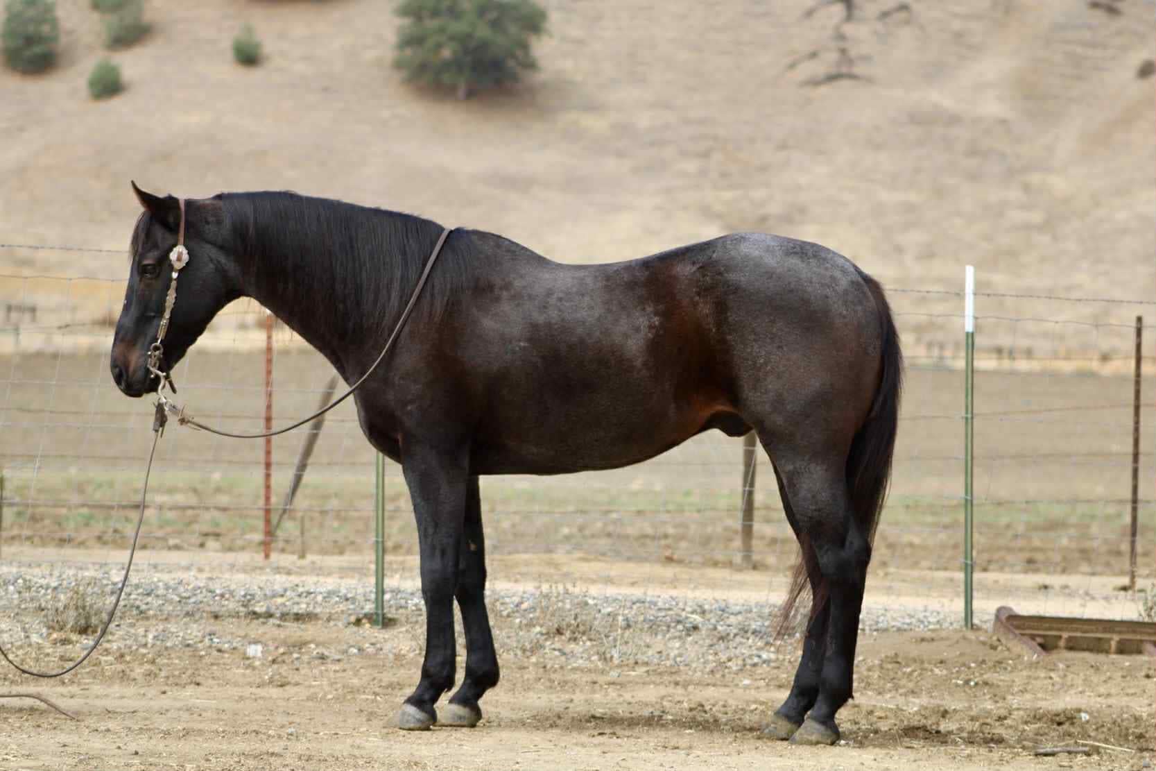 Blue Topaz - Image 2