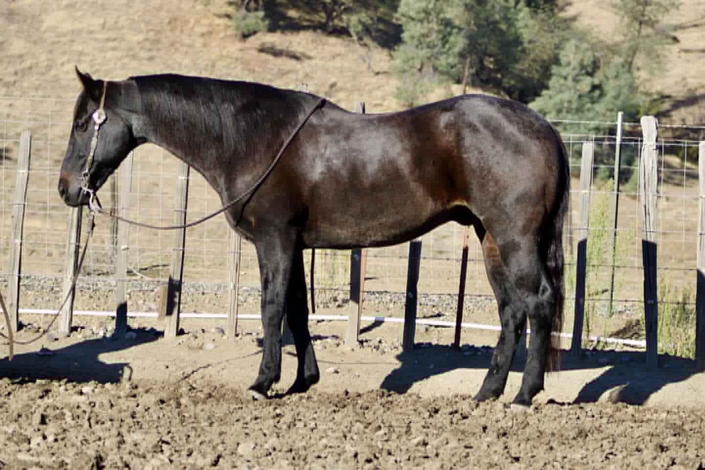 Blue Topaz - Image 4