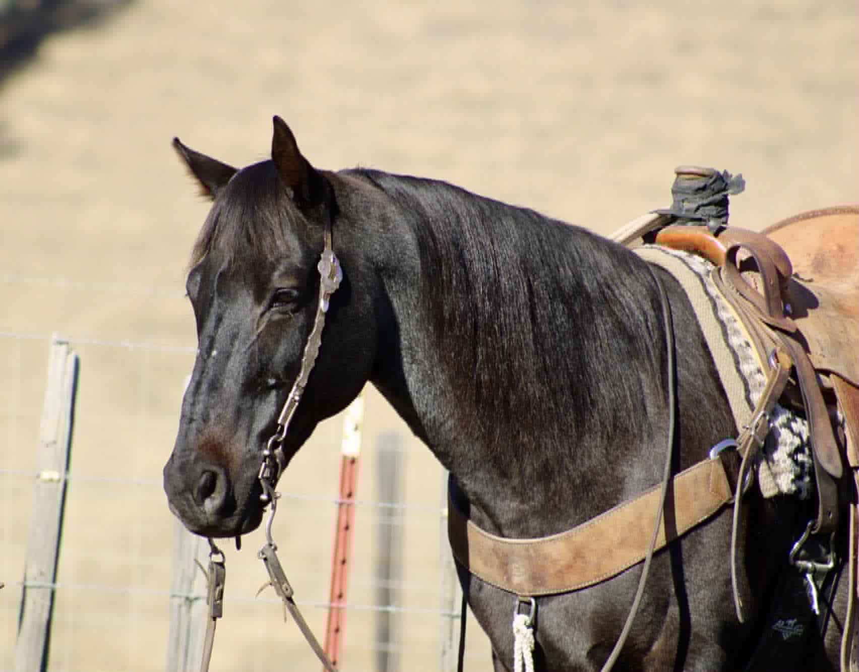 Blue Topaz - Image 7