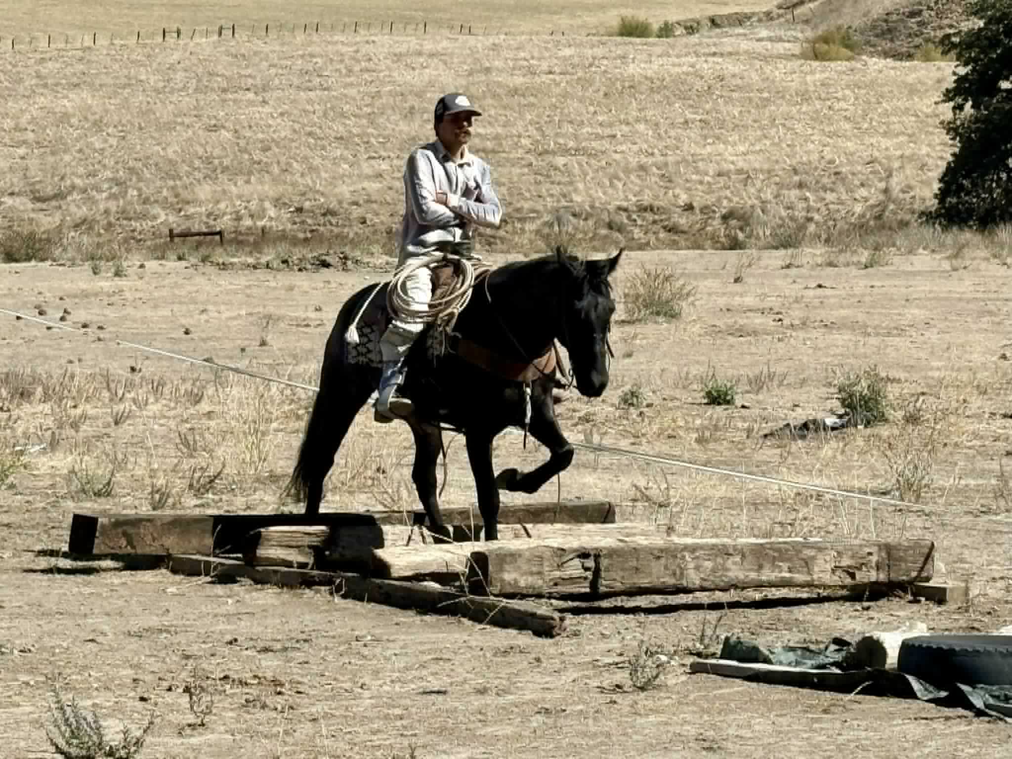 Blue Topaz - Image 13