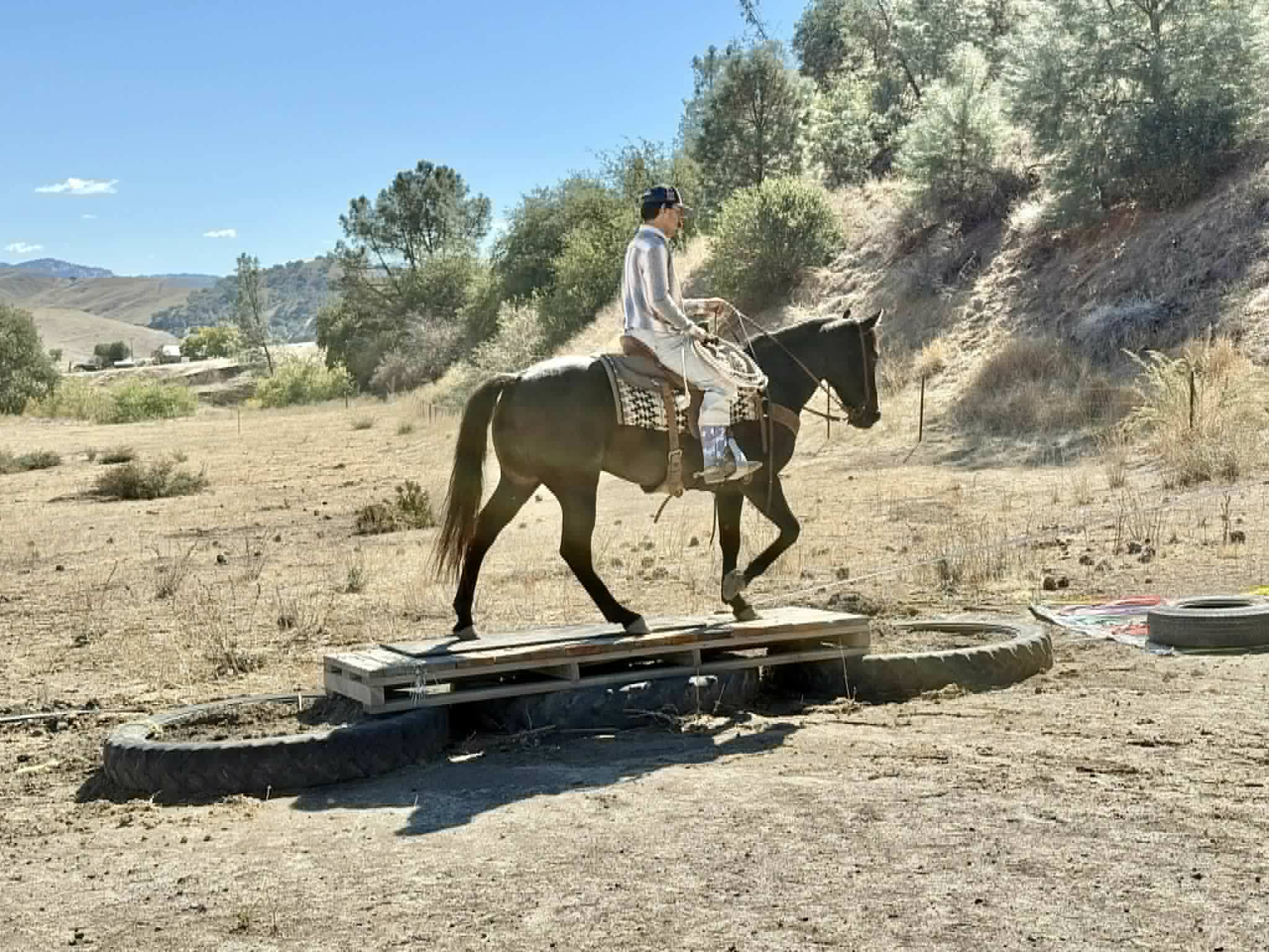 Blue Topaz - Image 14