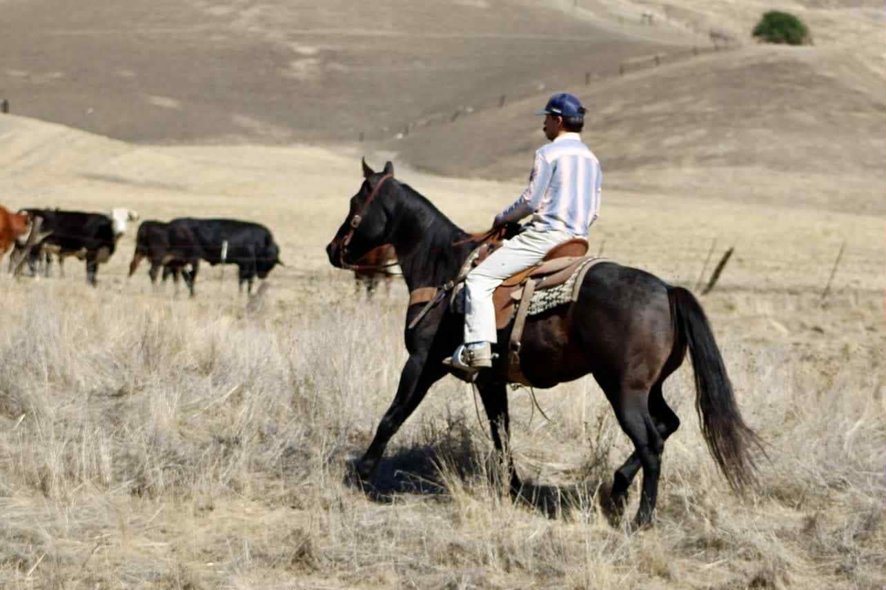 Blue Topaz - Image 16