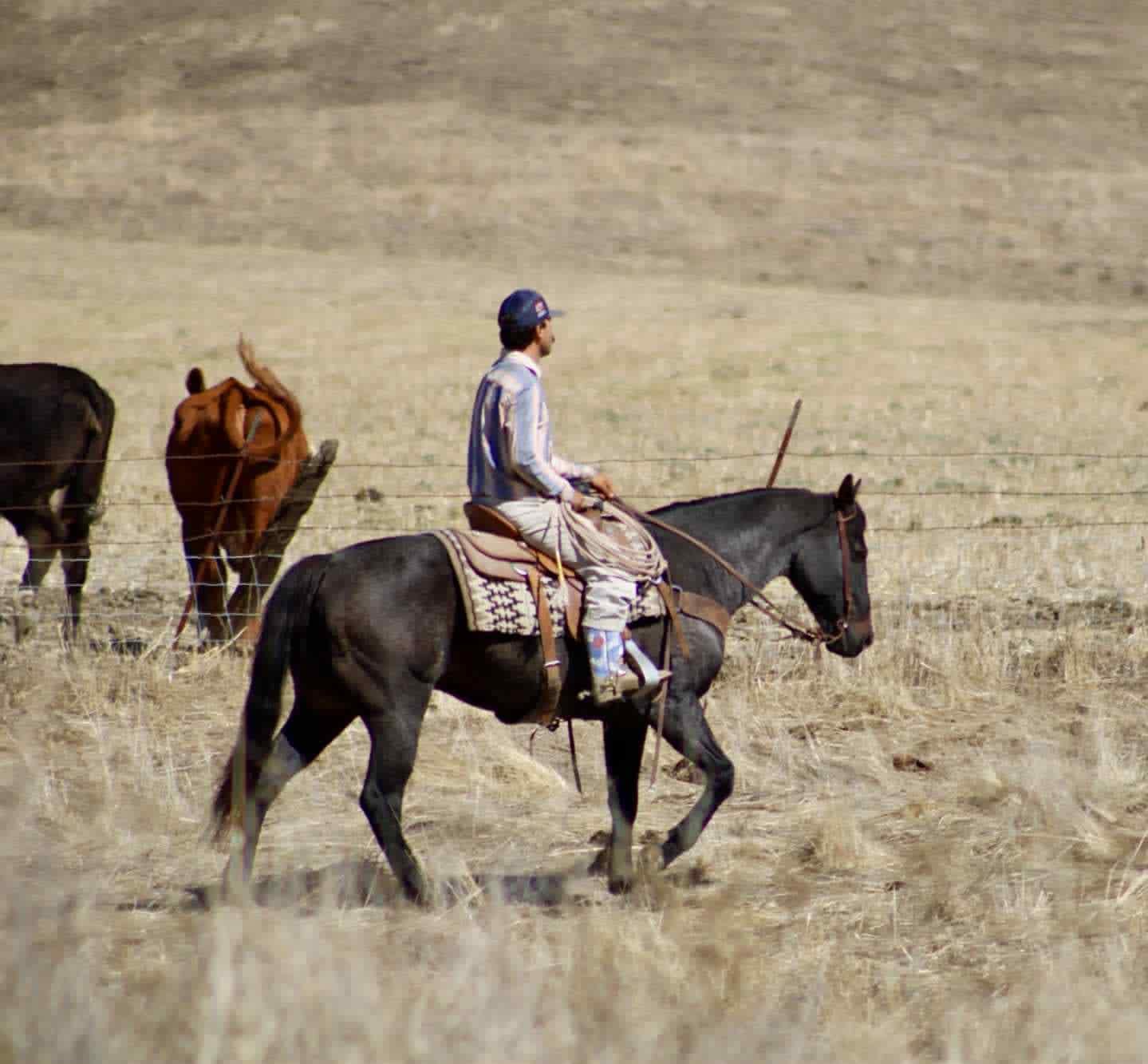 Blue Topaz - Image 17