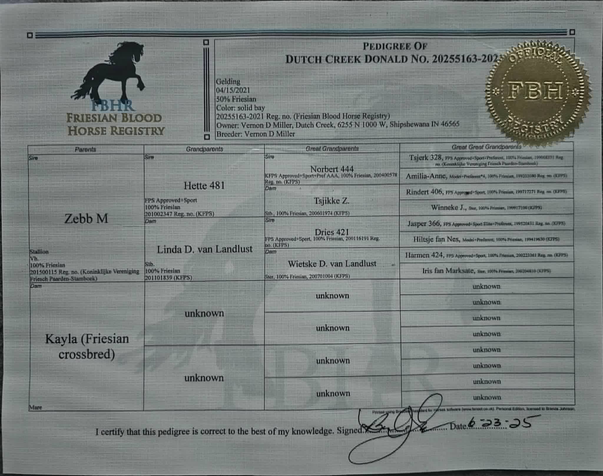 A Dutch Creek Donald - Image 4