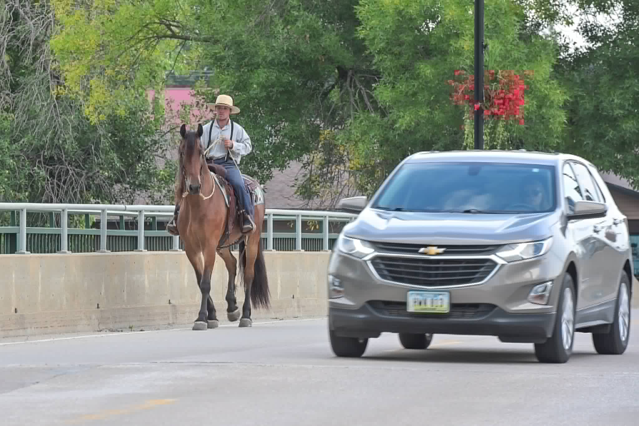 A Dutch Creek Donald - Image 15