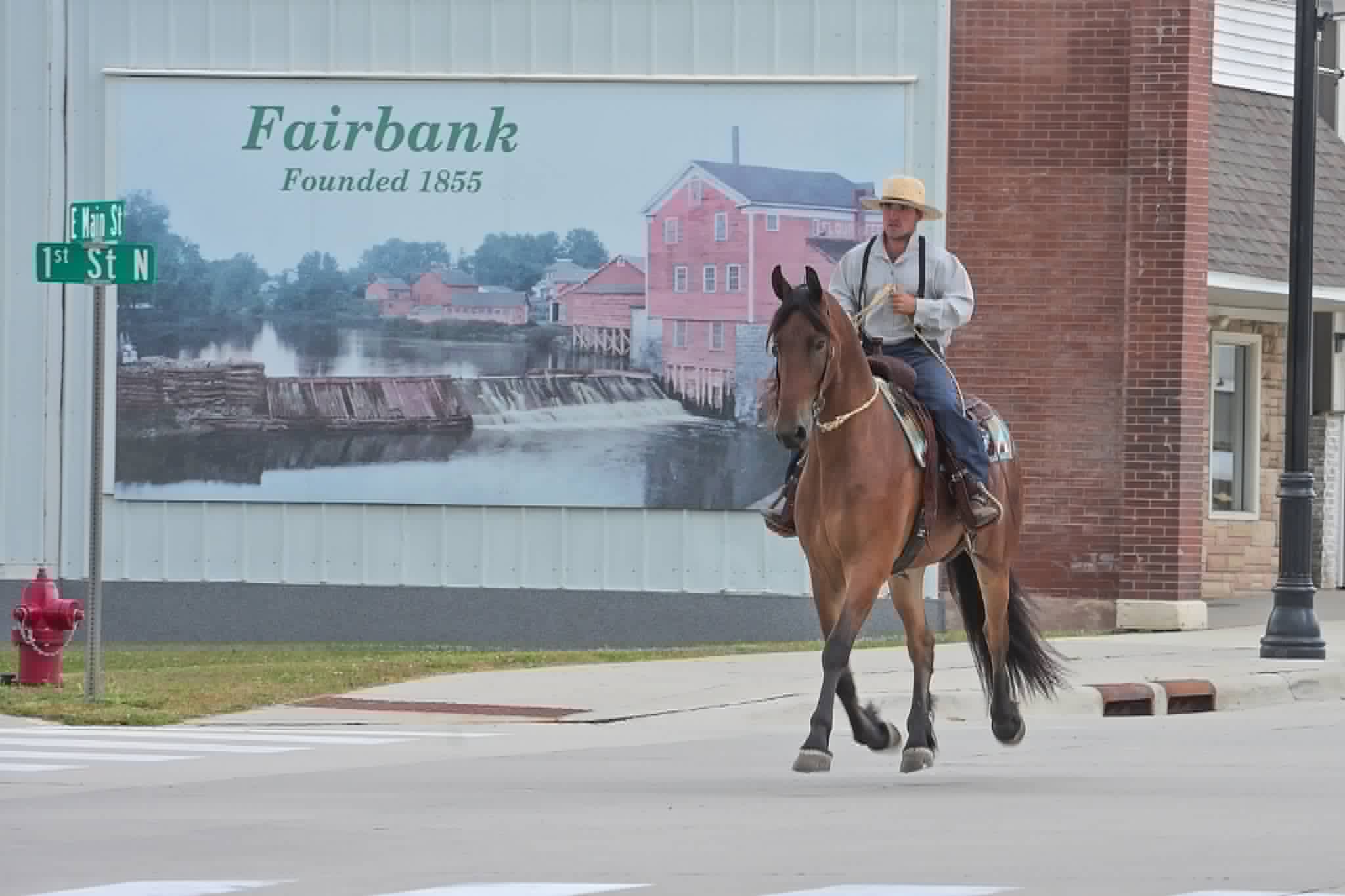 A Dutch Creek Donald - Image 16