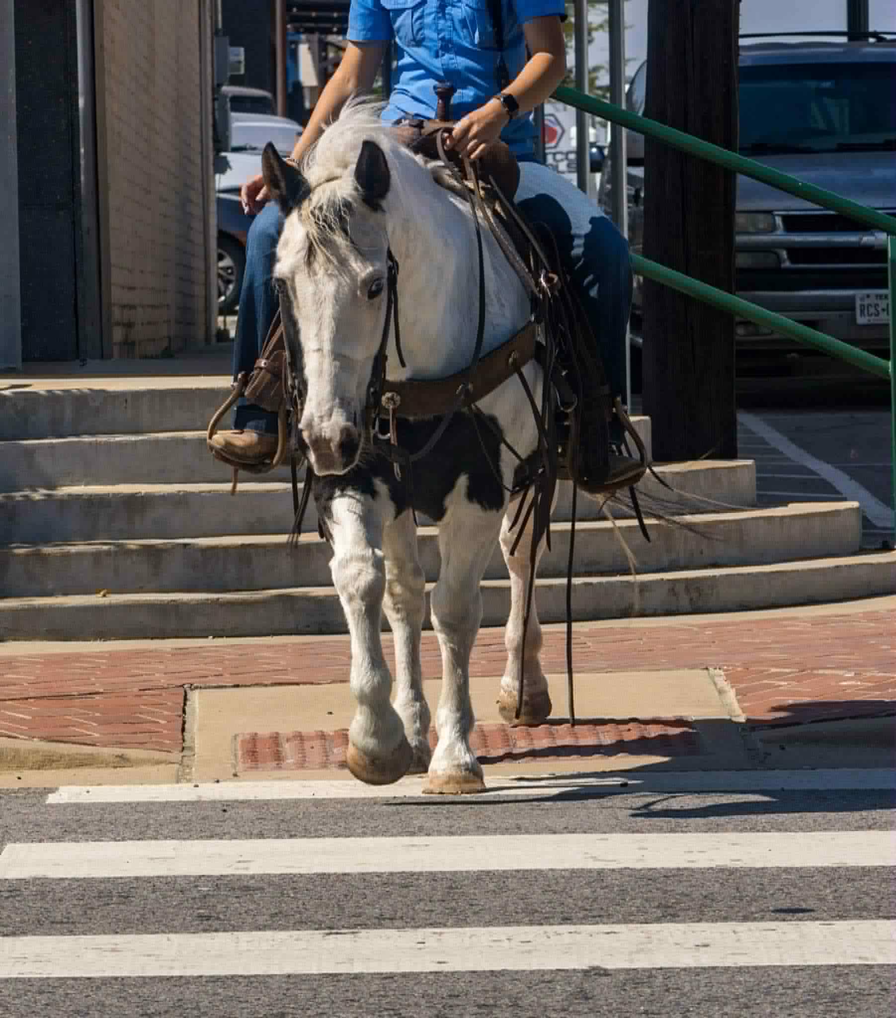 Lil Wayne - Image 13