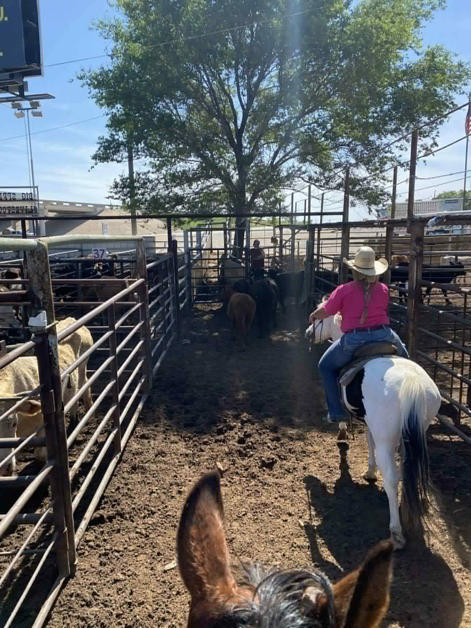 Lil Wayne - Image 17