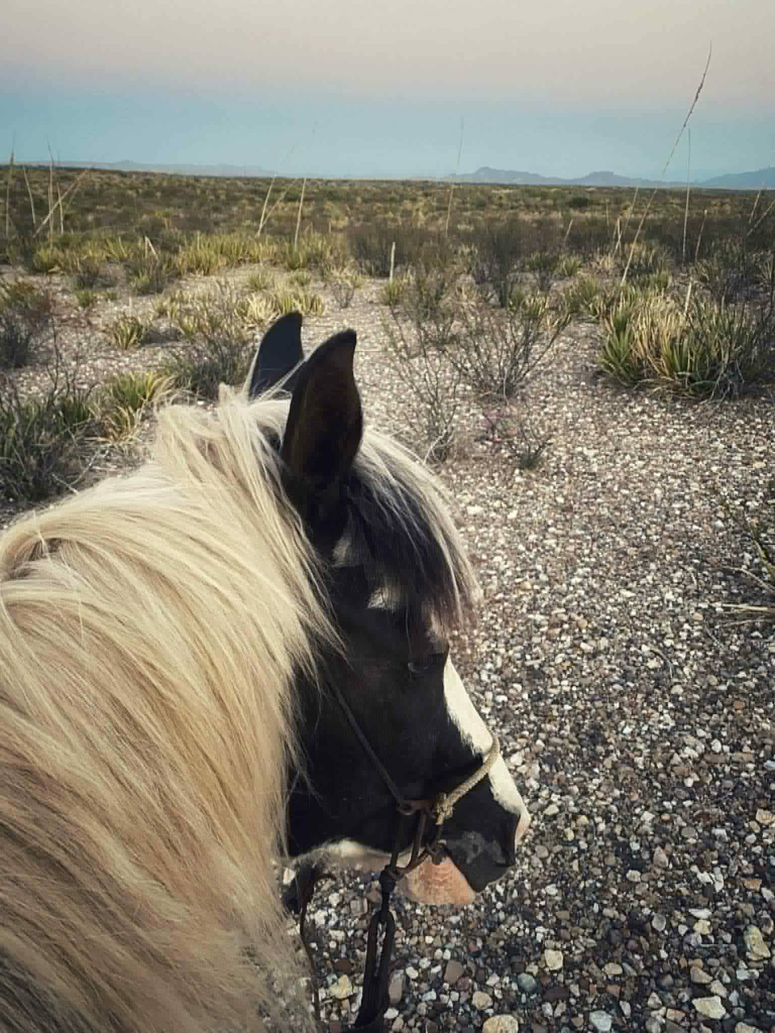 Lil Wayne - Image 18