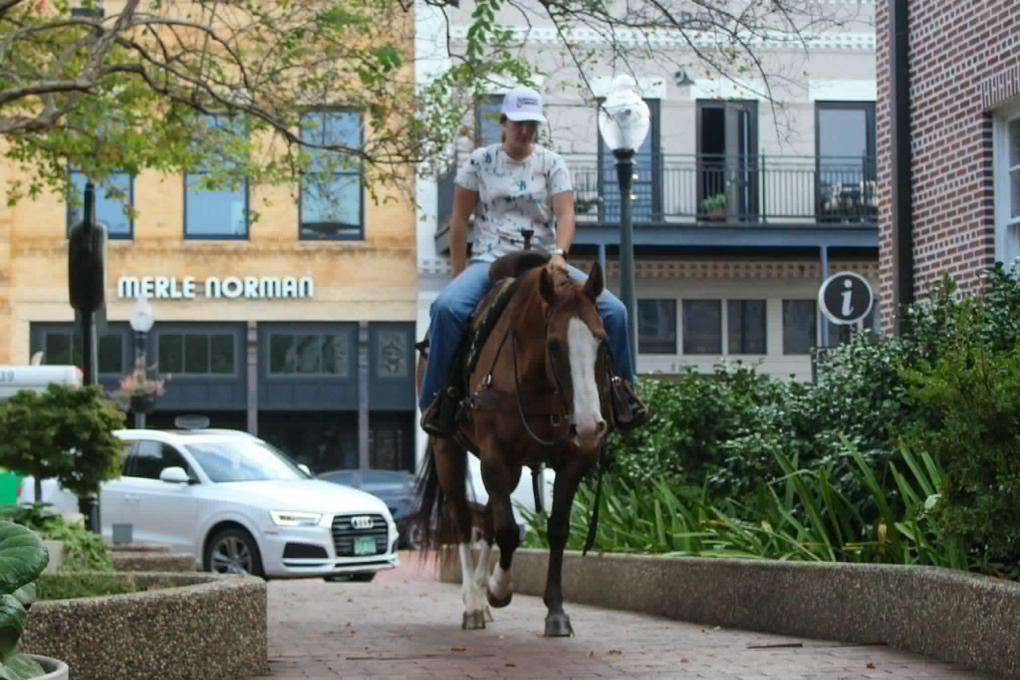 Henrietta - Image 10