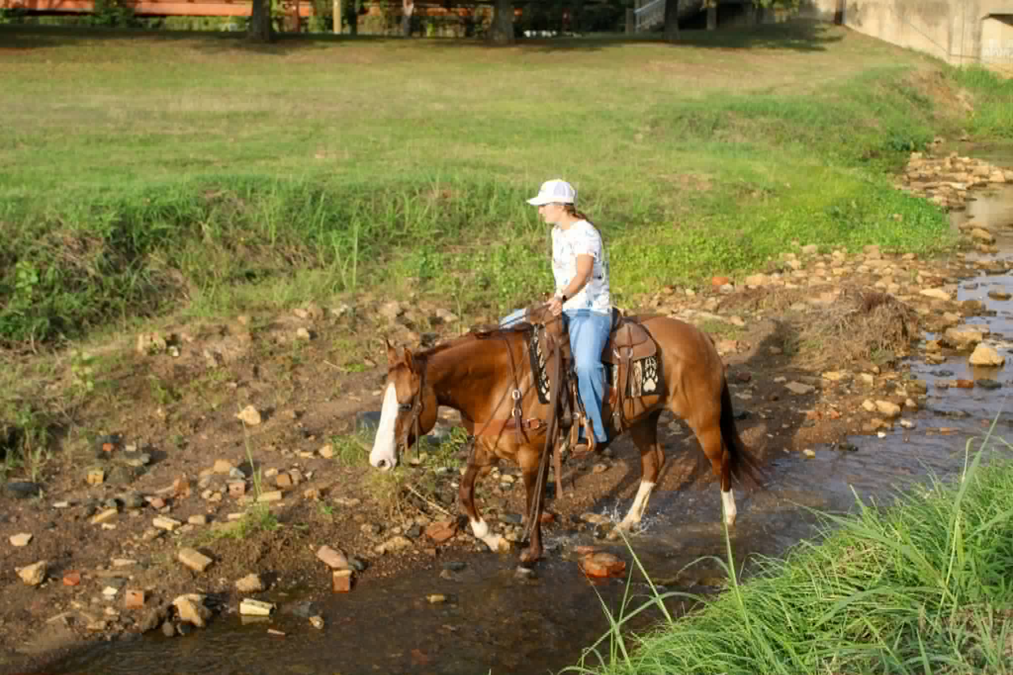 Henrietta - Image 13