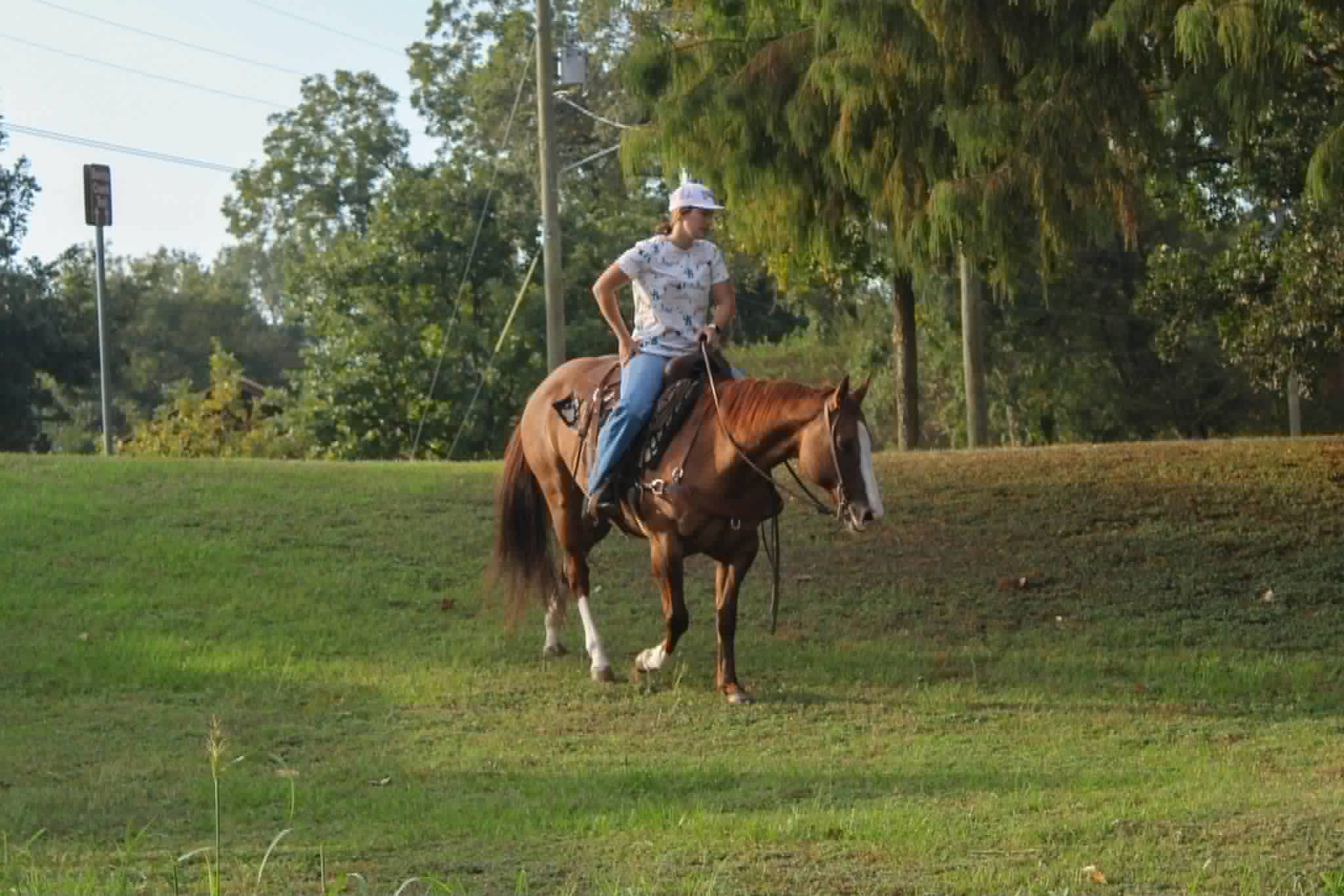 Henrietta - Image 14