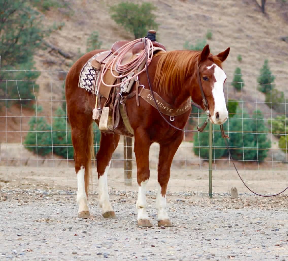 Doc Holiday - Image 9