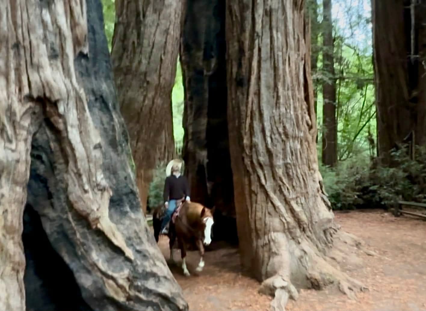 Doc Holiday - Image 14