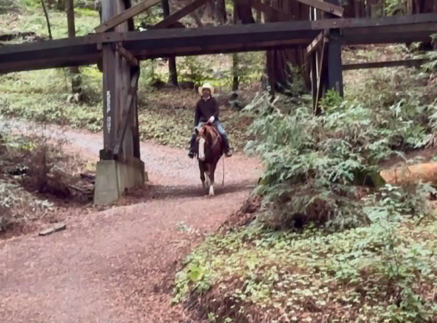 Doc Holiday - Image 16