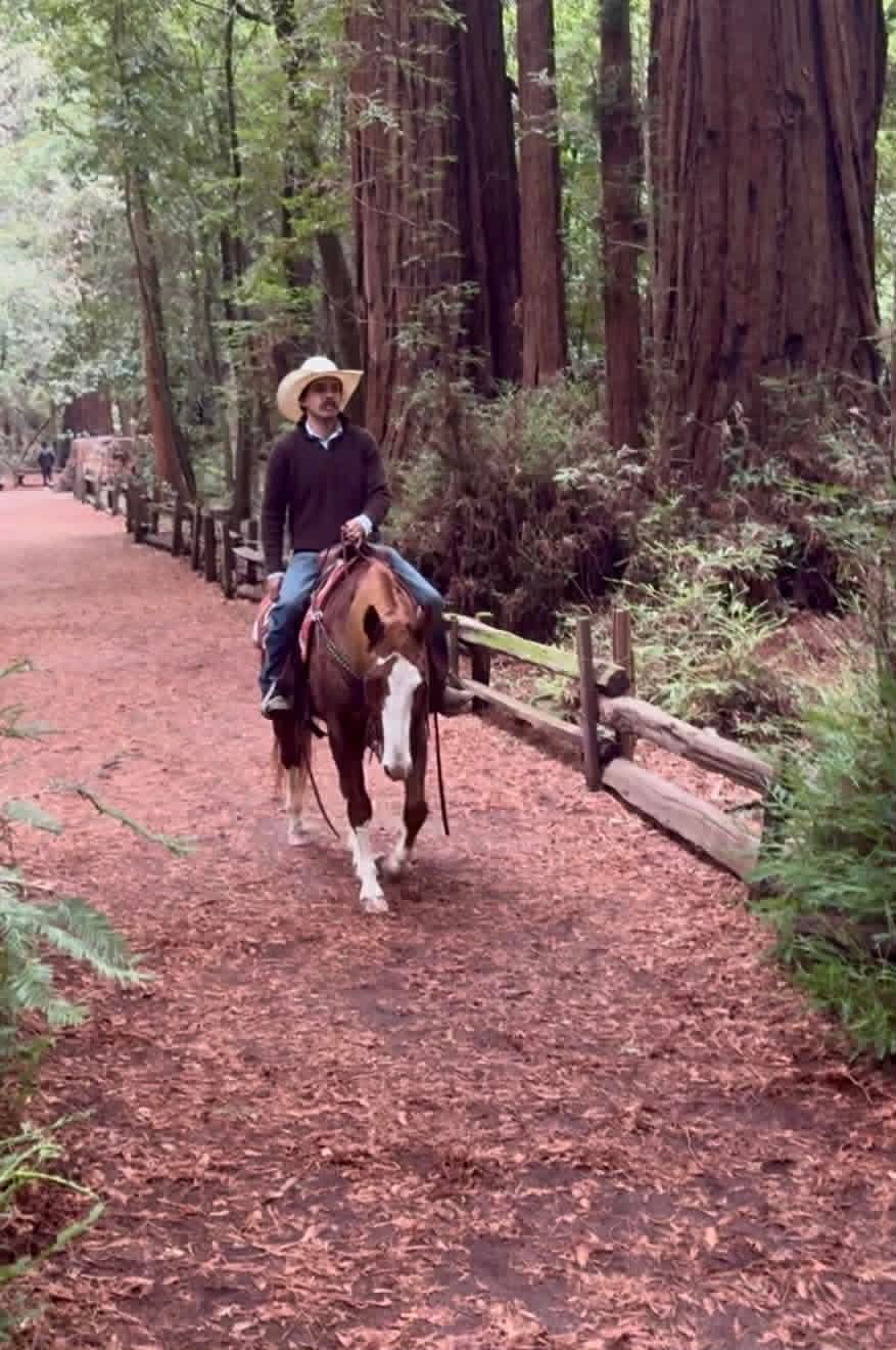 Doc Holiday - Image 17