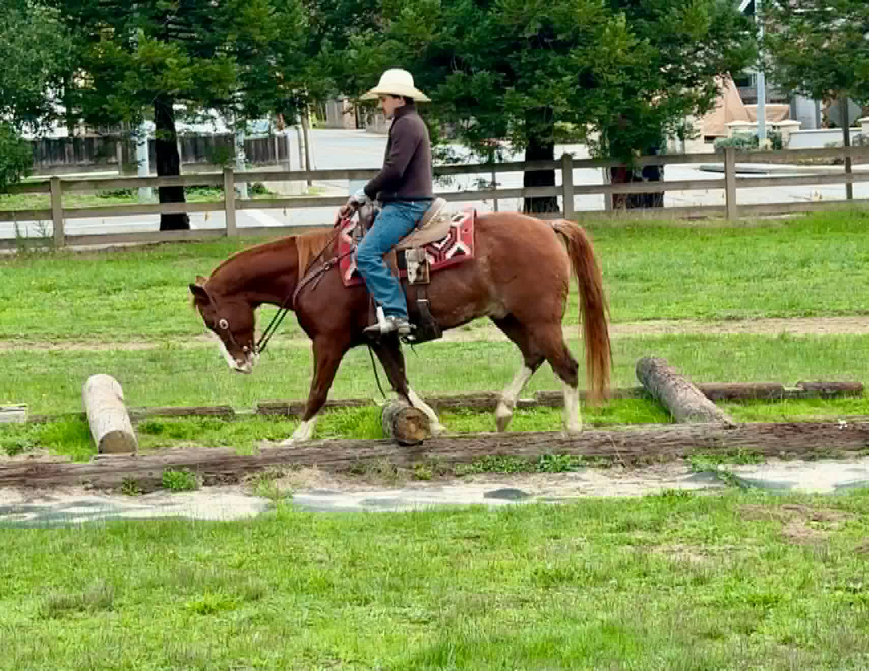 Doc Holiday - Image 18