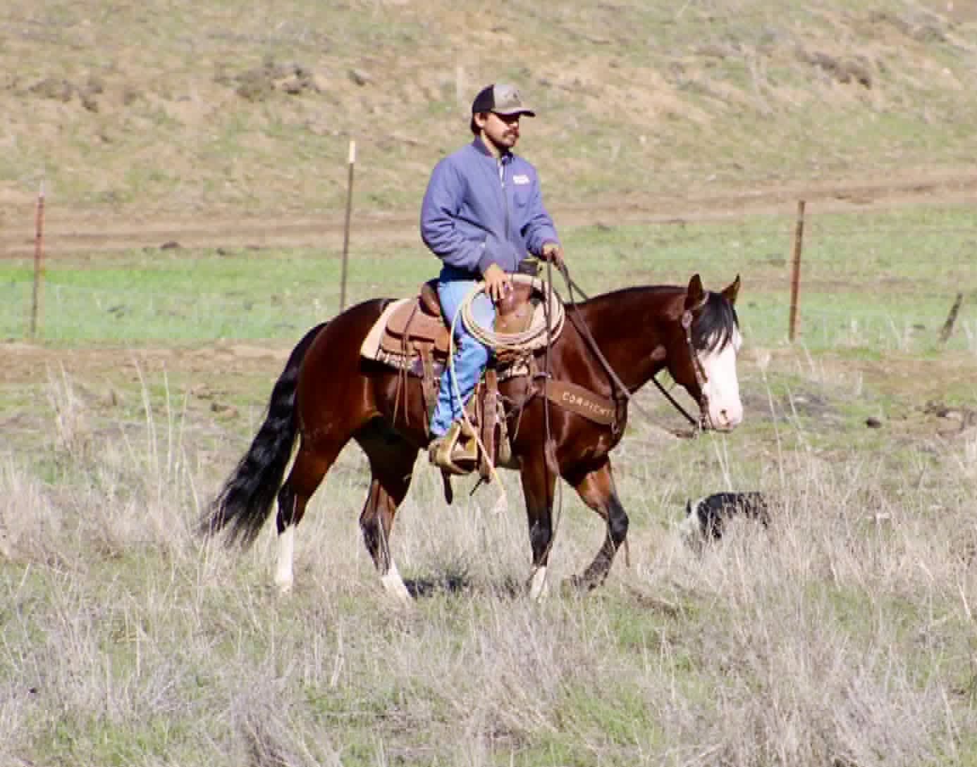 Derringer - Image 10