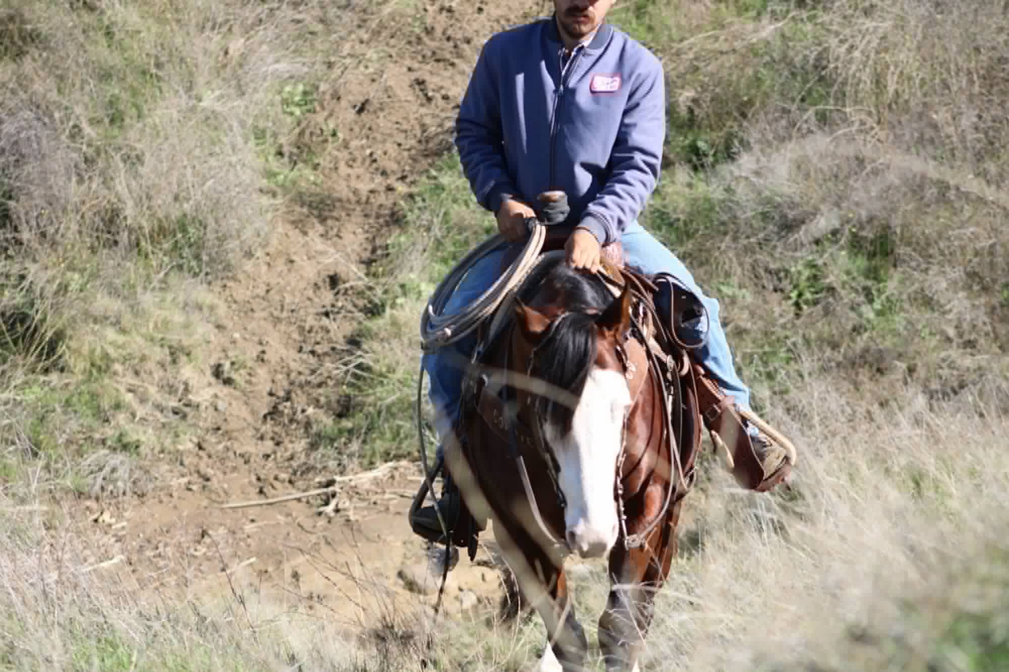 Derringer - Image 12