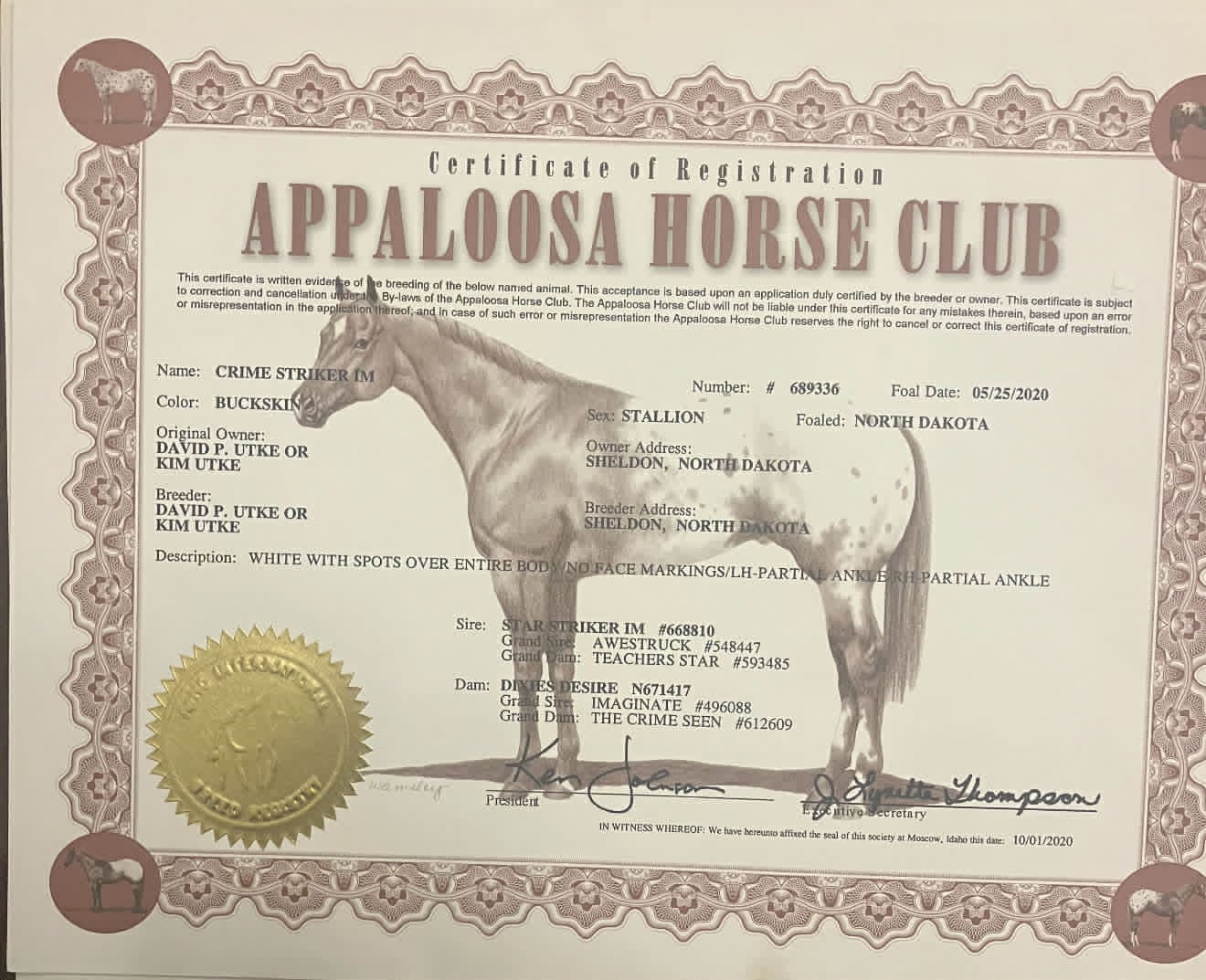 Crime Striker IM - Image 2