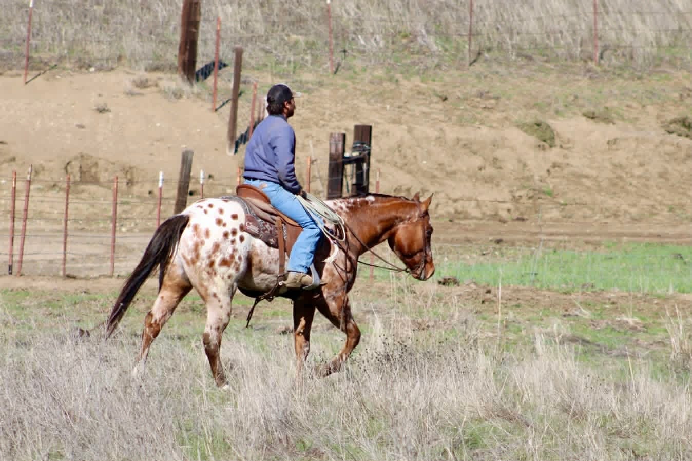 Crime Striker IM - Image 8